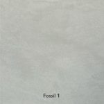 Forcrete-Fossil-1-Perfectlyplastered