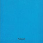 Forcrete-Peacock-Perfectlyplastered