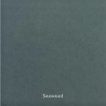Forcrete-Seaweed-Perfectlyplastered