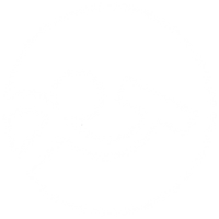 PerfectlyPlastered-bespoke-plastering-installer-logo